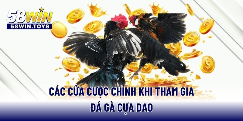 Các cửa cược chính khi tham gia đá gà cựa dao