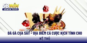 da-ga-cua-sat-dia-diem-ca-cuoc-kich-tinh-cho-ke-thu