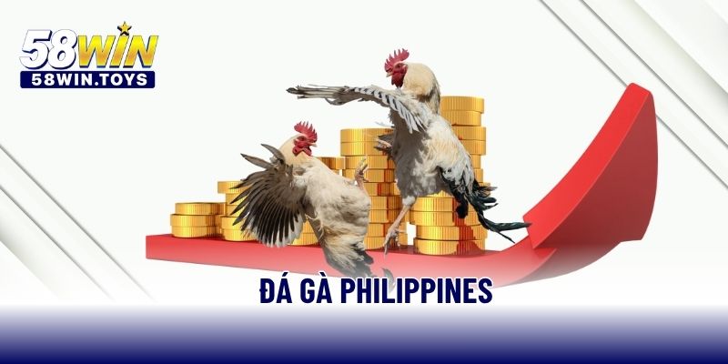 Đá gà Philippines
