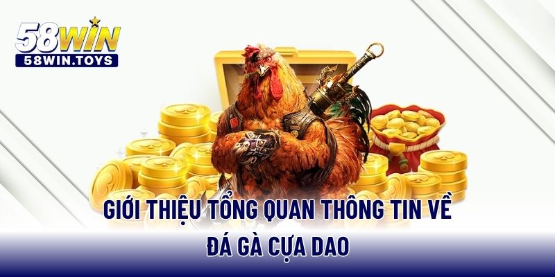 Giới thiệu tổng quan thông tin về đá gà cựa dao