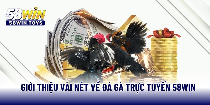 Giới thiệu vài nét về đá gà trực tuyến 58WIN