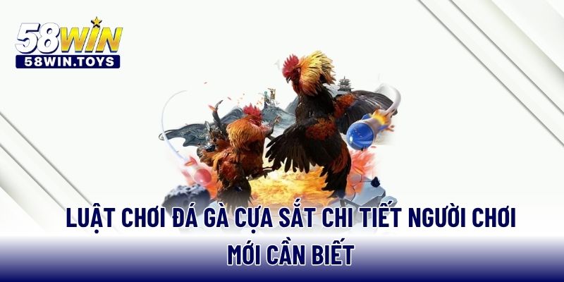 Luật chơi đá gà cựa sắt chi tiết người chơi mới cần biết