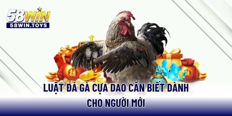 Luật đá gà cựa dao cần biết dành cho người mới
