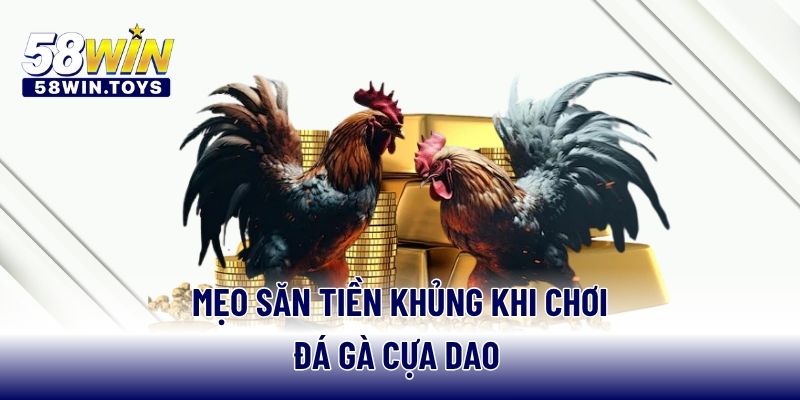 Mẹo săn tiền khủng khi chơi đá gà cựa dao 