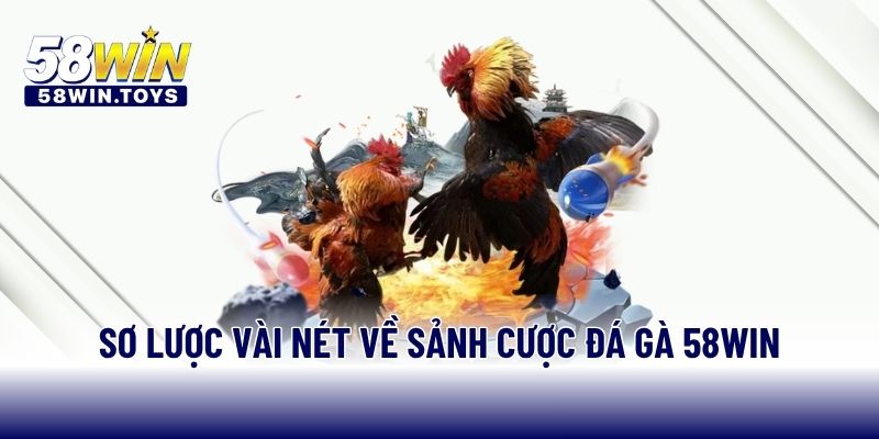 Bí quyết chọn chiến kê phù hợp khi tham gia đá gà 58WIN