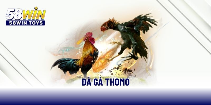 Đá gà thomo