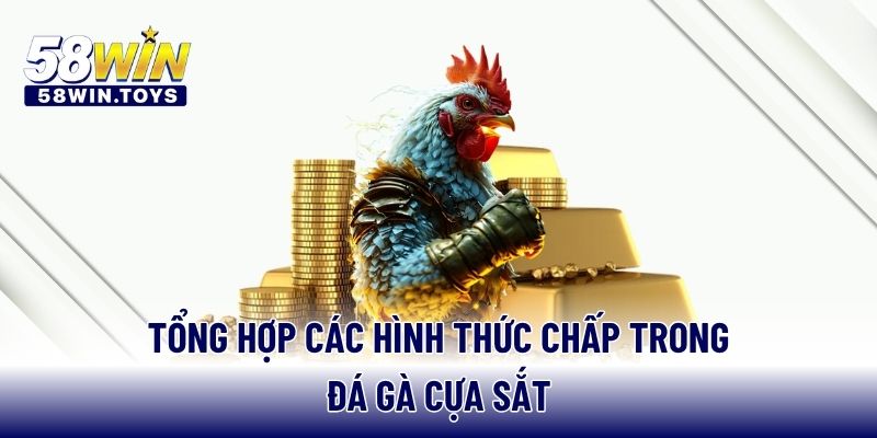 Tổng hợp các hình thức chấp trong đá gà cựa sắt