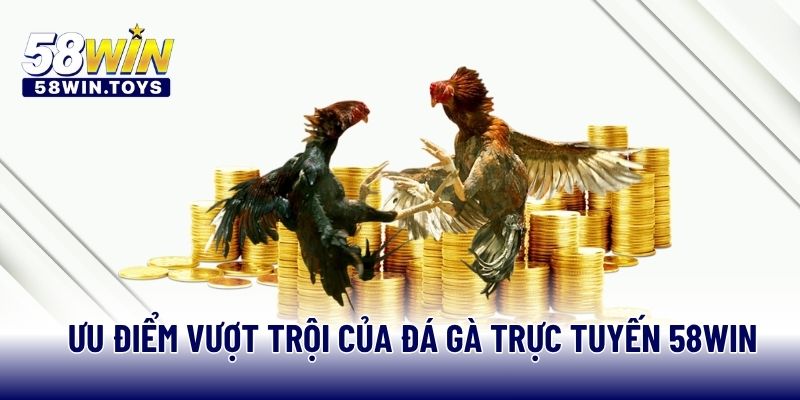 Ưu điểm vượt trội của đá gà trực tuyến 58WIN